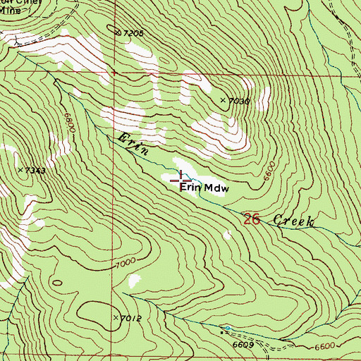 Topographic Map of Erin Meadow, OR