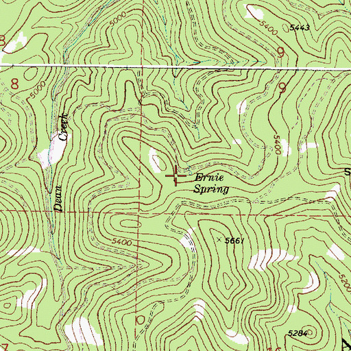 Topographic Map of Ernie Spring, OR