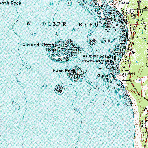 Topographic Map of Face Rock, OR