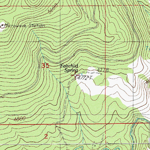 Topographic Map of Fairchild Spring, OR