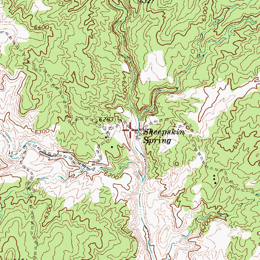 Topographic Map of Sheepskin Spring, AZ