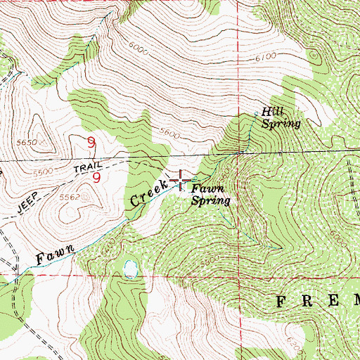 Topographic Map of Fawn Spring, OR