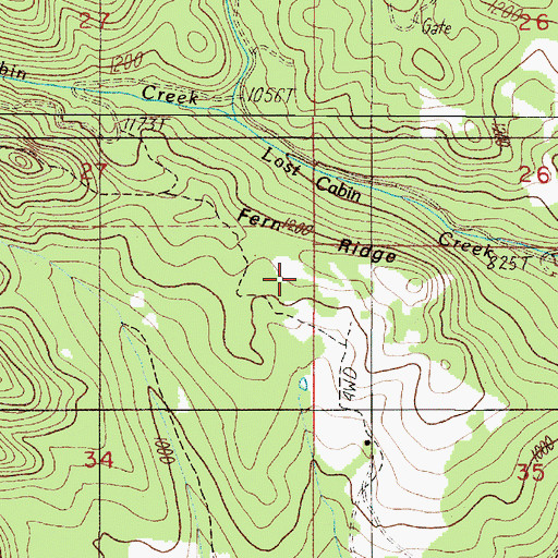 Topographic Map of Fern Ridge, OR