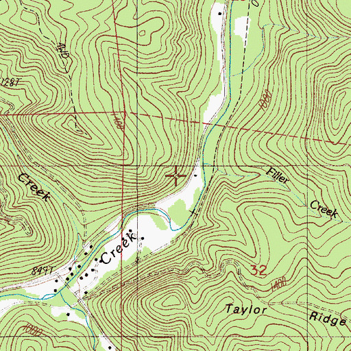 Topographic Map of Filler Creek, OR