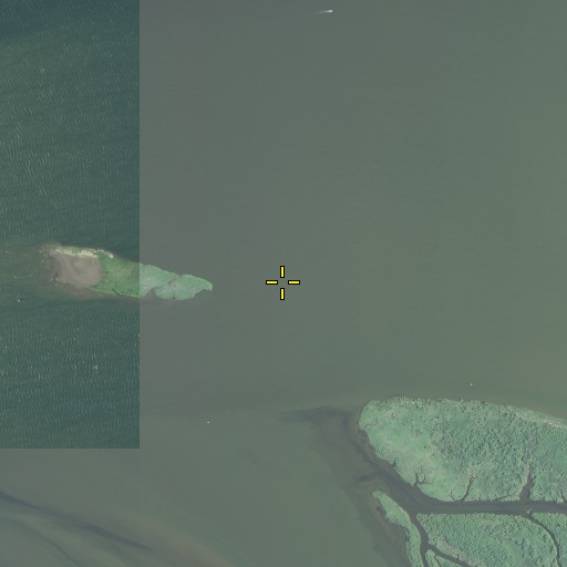 Aerial/Satellite Image of Fitzpatrick Island, OR