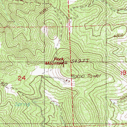 Topographic Map of Flock Mountain, OR