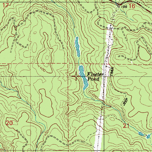 Topographic Map of Floeter Pond, OR