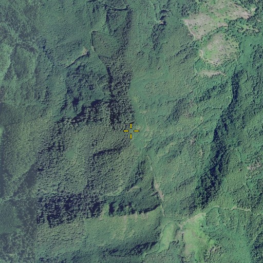 Aerial/Satellite Image of Foley Peak, OR