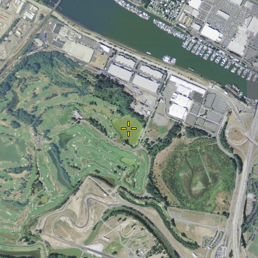 Aerial/Satellite Image of Force Lake, OR