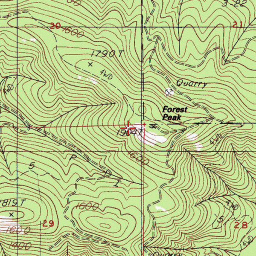 Topographic Map of Forest Peak, OR