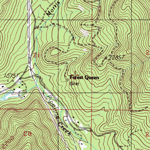 Topographic Map of Forest Queen, OR
