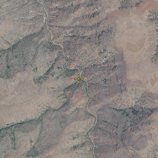 Aerial/Satellite Image of Forked Canyon, OR