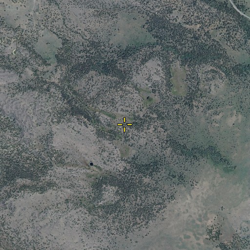 Aerial/Satellite Image of Frazier Spring, OR