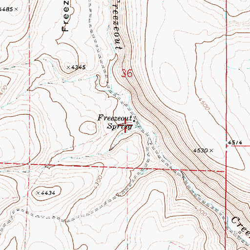 Topographic Map of Freezeout Spring, OR