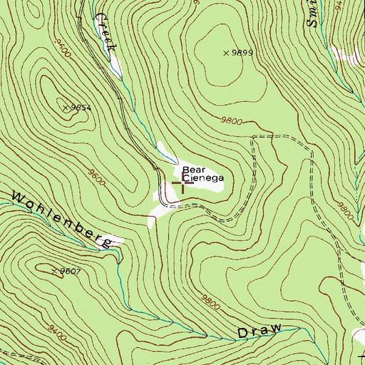 Topographic Map of Bear Cienega, AZ