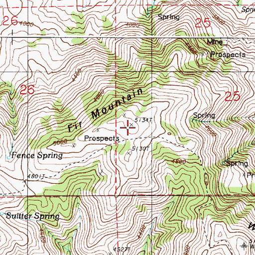 Topographic Map of Fur Mountain, OR