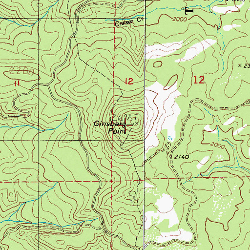 Topographic Map of Ginsberg Point, OR