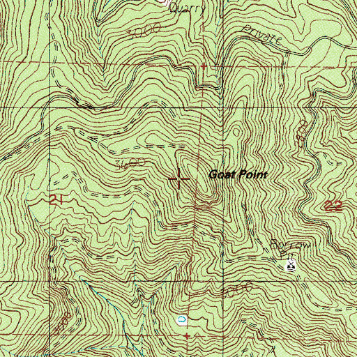 Topographic Map of Goat Point, OR