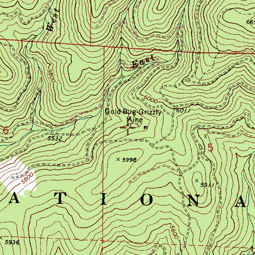 Topographic Map of Gold Bug-Grizzly Mine, OR