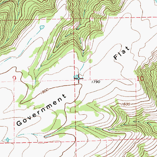Topographic Map of Government Flat, OR
