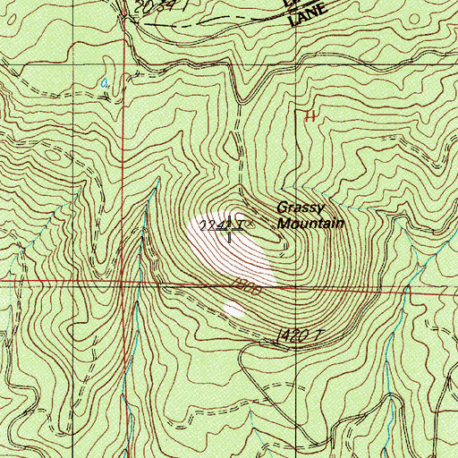 Topographic Map of Grassy Mountain, OR