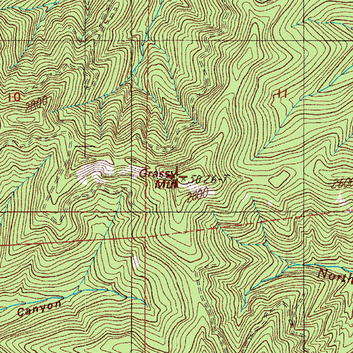 Topographic Map of Grassy Mountain, OR