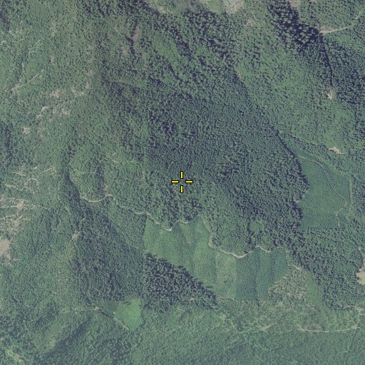 Aerial/Satellite Image of Grayback Trail, OR