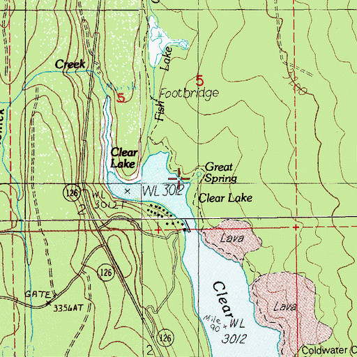 Topographic Map of Great Spring, OR