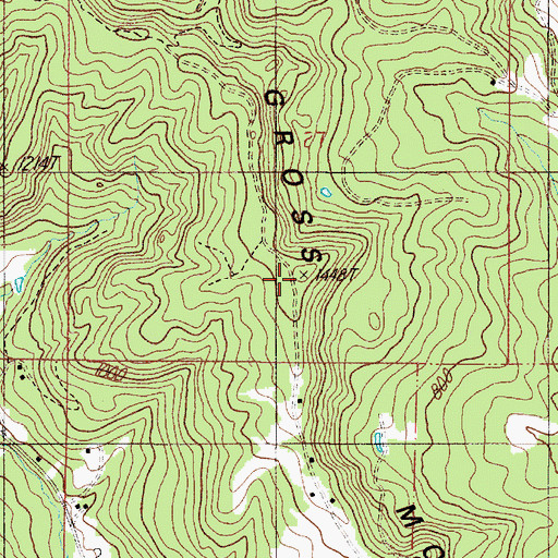 Topographic Map of Gross Mountain, OR
