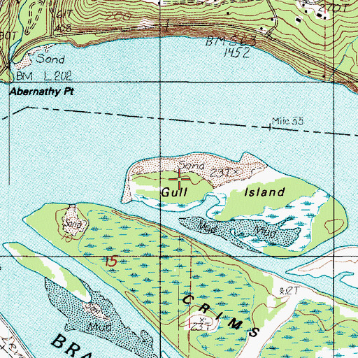 Topographic Map of Gull Island, OR