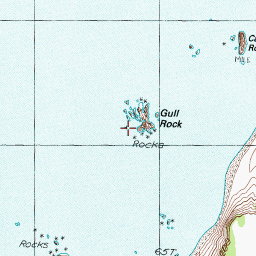Topographic Map of Gull Rock, OR