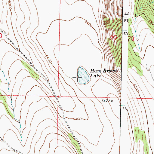 Topographic Map of Ham Brown Lake, OR