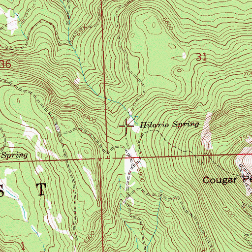 Topographic Map of Hilario Spring, OR