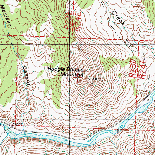 Topographic Map of Hoogie Doogie Mountain, OR