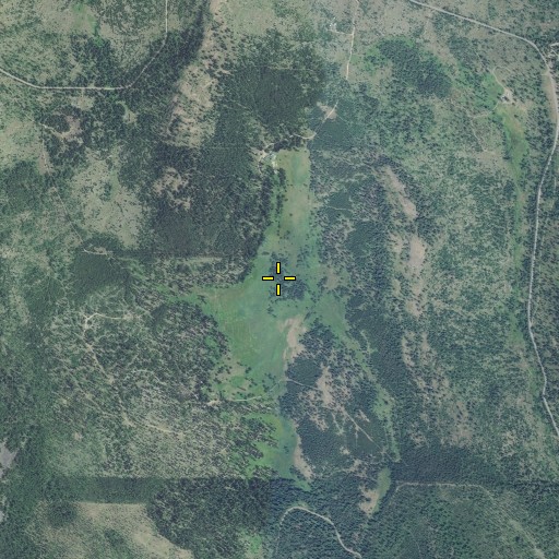 Aerial/Satellite Image of Howard Meadow, OR