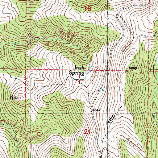 Topographic Map of Irish Spring, OR