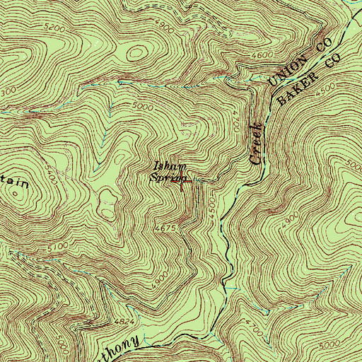 Topographic Map of Isham Spring, OR
