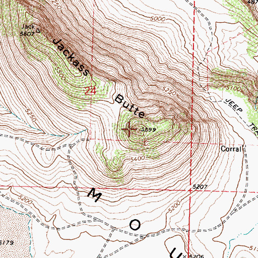 Topographic Map of Jackass Butte, OR