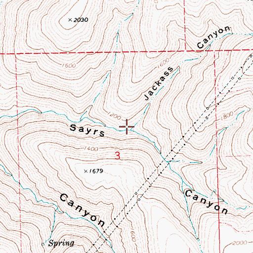 Topographic Map of Jackass Canyon, OR