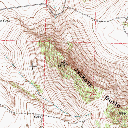 Topographic Map of Jackass Mountain, OR