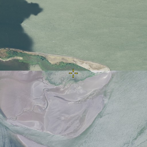 Aerial/Satellite Image of Jim Crow Sands, OR