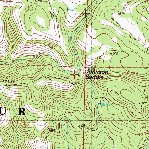 Topographic Map of Johnson Saddle, OR