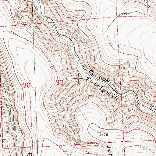 Topographic Map of Jump Off Joe Canyon, OR