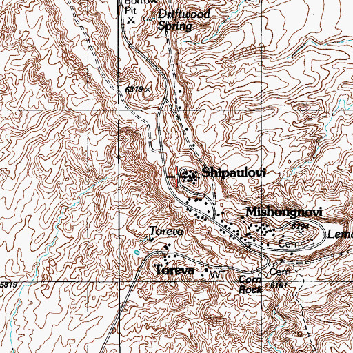 Topographic Map of Sipaulovi, AZ