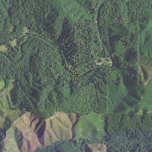 Aerial/Satellite Image of Laverne Falls, OR