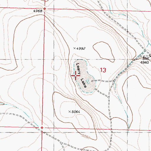 Topographic Map of Leary Lake, OR