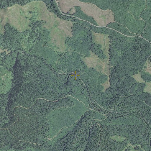 Aerial/Satellite Image of Lee Falls, OR