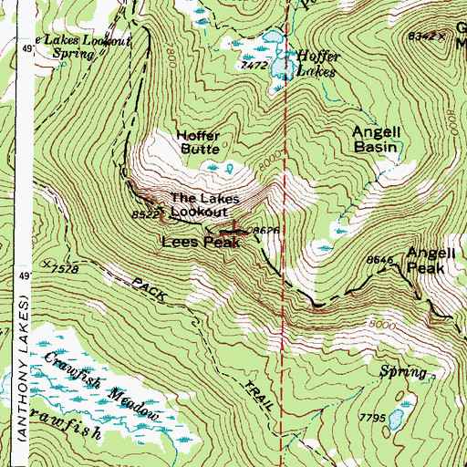 Topographic Map of Lees Peak, OR