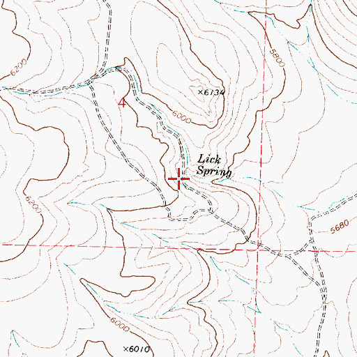 Topographic Map of Lick Spring, OR