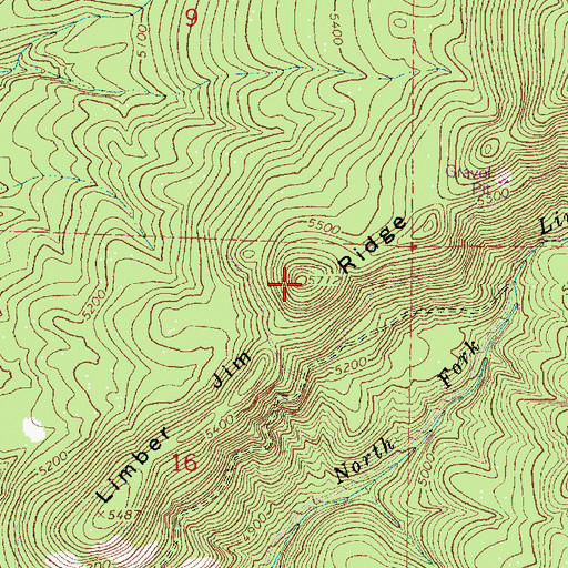 Topographic Map of Limber Jim Ridge, OR